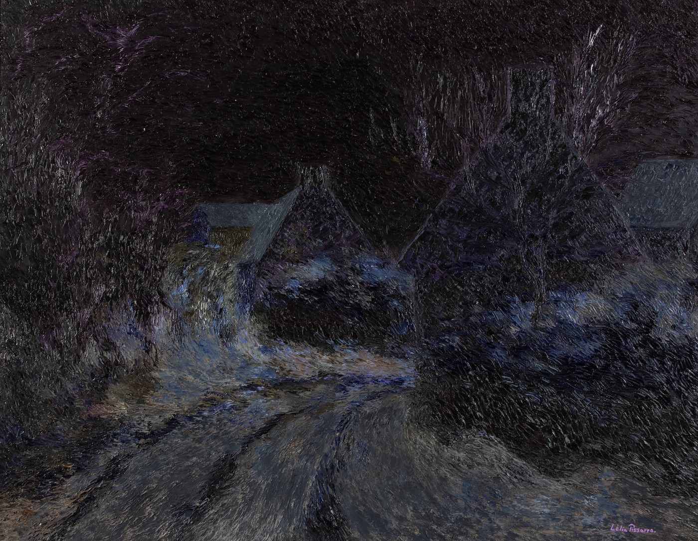 Elusive Empress of Nocturnal Skies